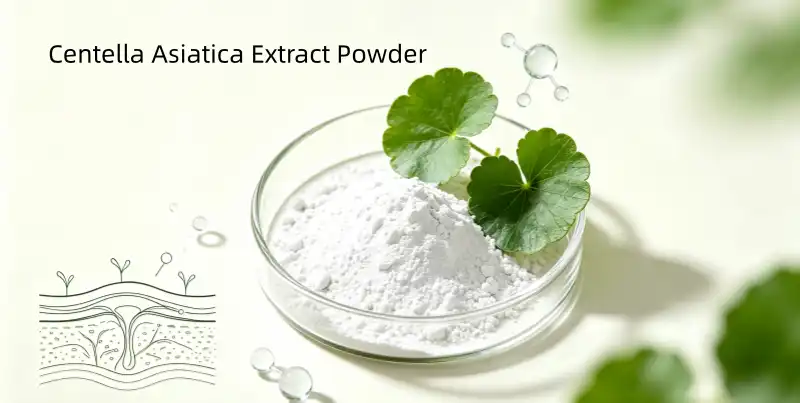 What Makes Centella Asiatica Extract Powder Popular in Cosmetics?